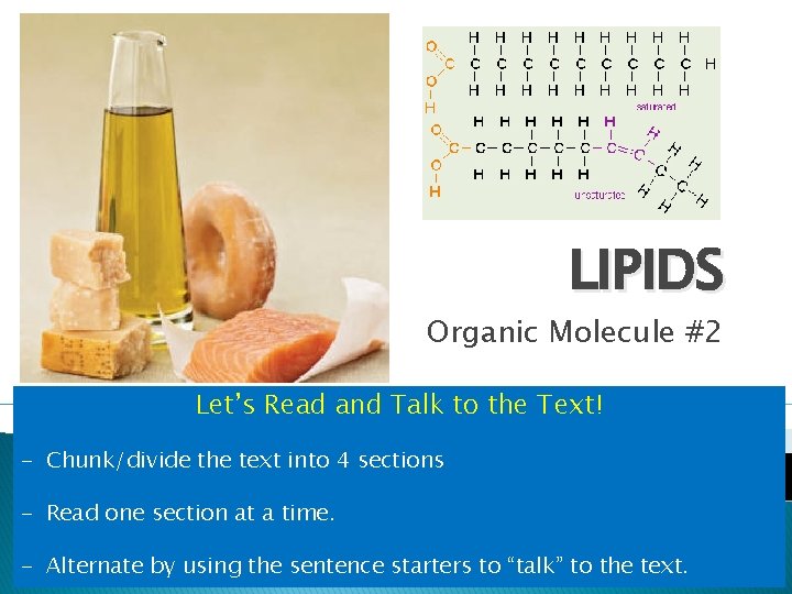 LIPIDS Organic Molecule #2 Let’s Read and Talk to the Text! - Chunk/divide the