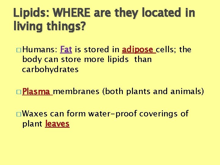 Lipids: WHERE are they located in living things? � Humans: Fat is stored in