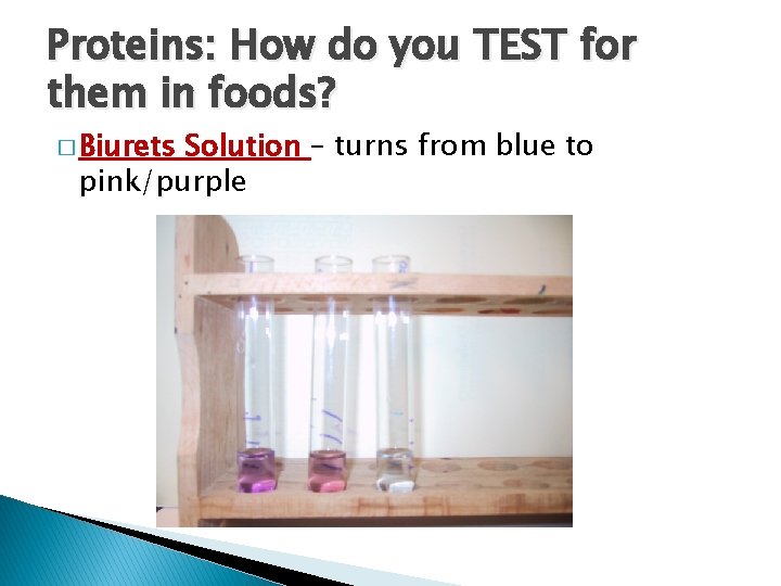 Proteins: How do you TEST for them in foods? � Biurets Solution – turns