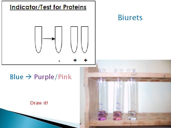 Biurets Blue Purple/Pink Draw it! 