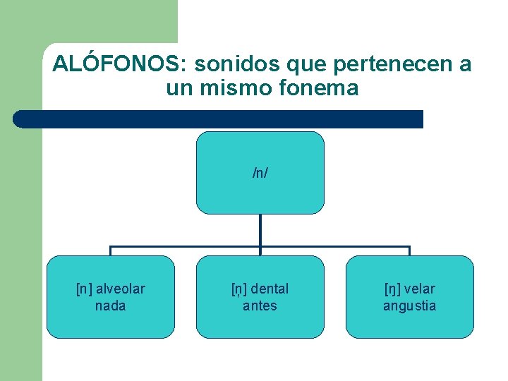 ALÓFONOS: sonidos que pertenecen a un mismo fonema /n/ [n] alveolar nada [ņ] dental