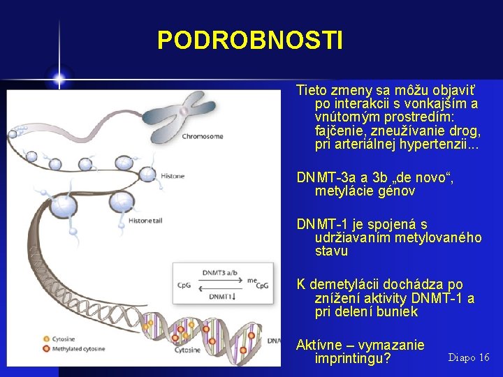 PODROBNOSTI Tieto zmeny sa môžu objaviť po interakcii s vonkajším a vnútorným prostredím: fajčenie,