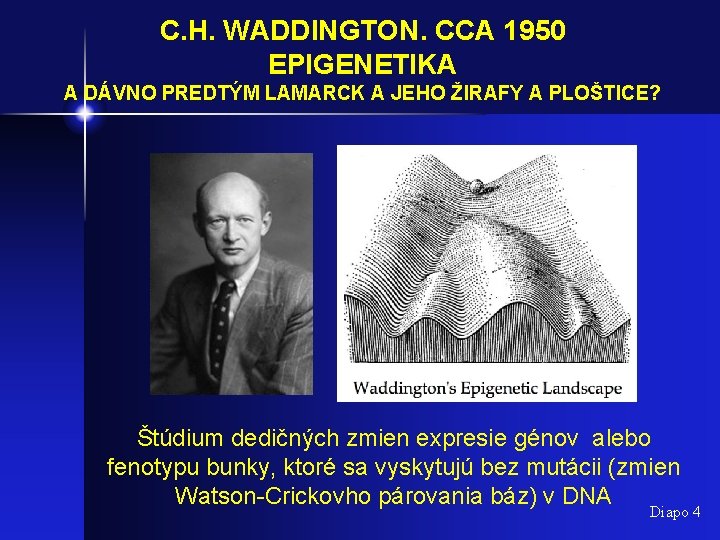 C. H. WADDINGTON. CCA 1950 EPIGENETIKA A DÁVNO PREDTÝM LAMARCK A JEHO ŽIRAFY A