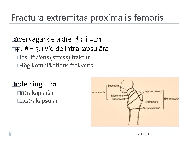 Fractura extremitas proximalis femoris � Övervägande � äldre : =2: 1 � : =