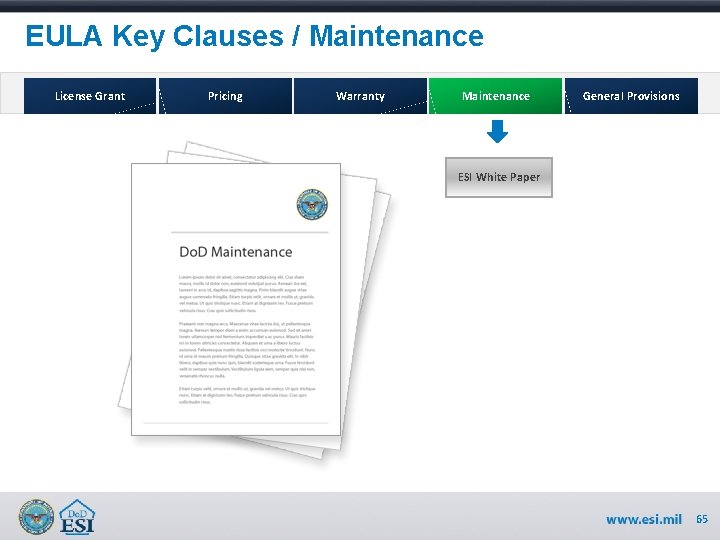 EULA Key Clauses / Maintenance License Grant Pricing Warranty Maintenance General Provisions ESI White