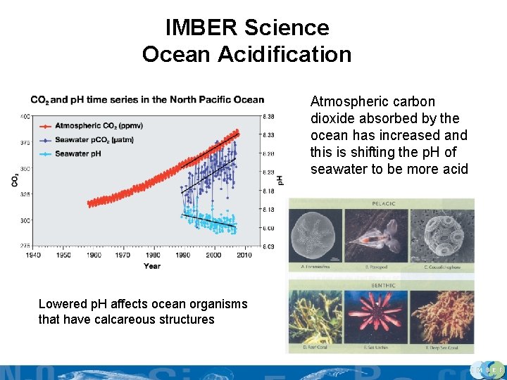 IMBER Science Ocean Acidification Atmospheric carbon dioxide absorbed by the ocean has increased and