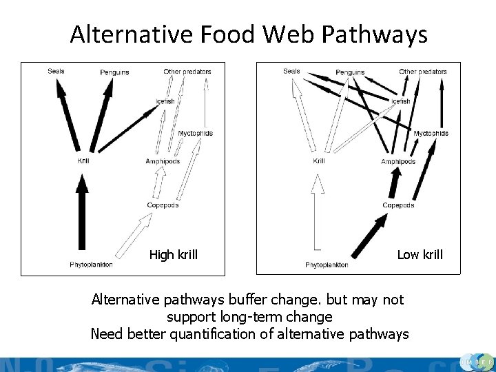 Alternative Food Web Pathways High krill Low krill Alternative pathways buffer change. but may