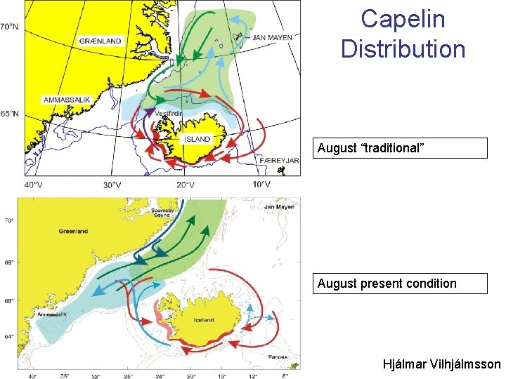 Capelin Distribution August “traditional” Recent years August present condition Hjálmar Vilhjálmsson 