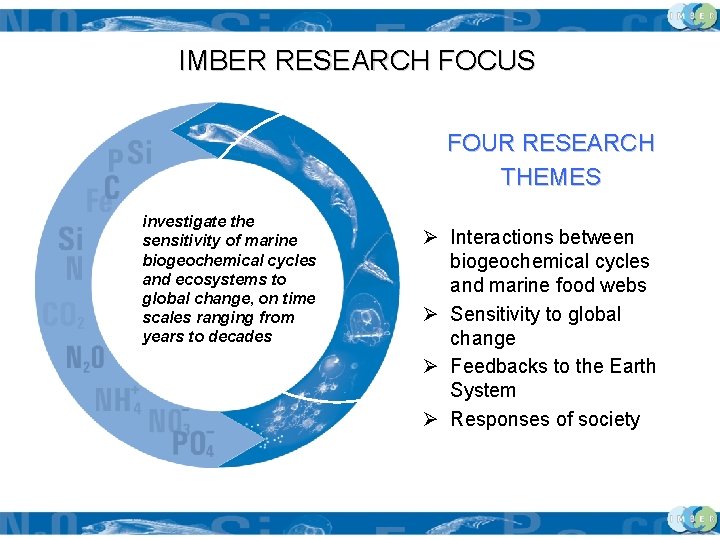 IMBER RESEARCH FOCUS FOUR RESEARCH THEMES investigate the sensitivity of marine biogeochemical cycles and