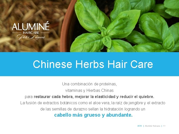 Chinese Herbs Hair Care Una combinación de proteínas, vitaminas y Hierbas Chinas para restaurar
