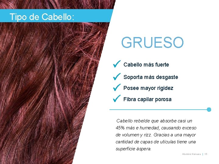 ACN | Aluminé Haircare | 17 Tipo de Cabello: GRUESO Cabello más fuerte Soporta