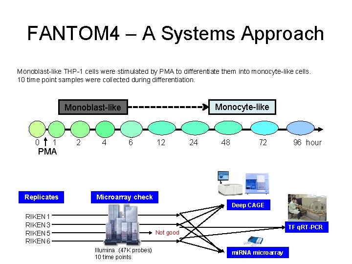 FANTOM 4 – A Systems Approach Monoblast-like THP-1 cells were stimulated by PMA to