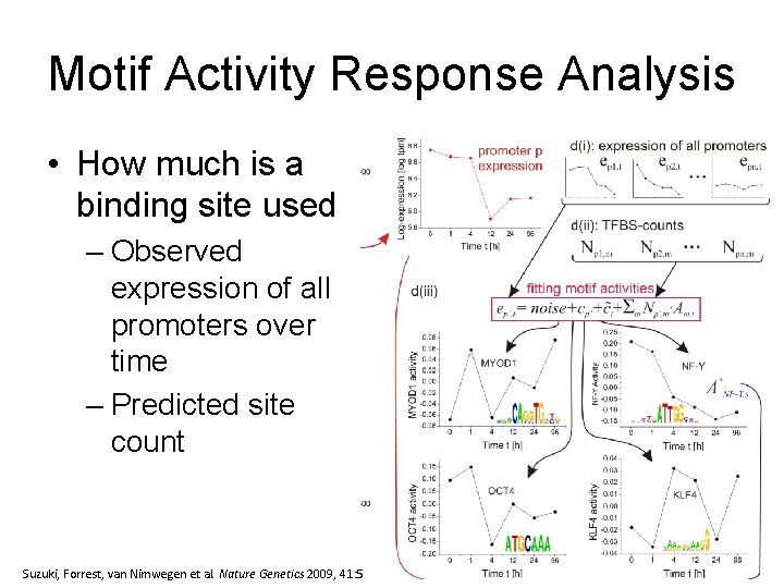 Motif Activity Response Analysis • How much is a binding site used – Observed