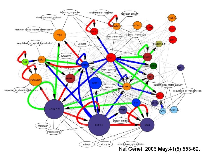 Nat. Genet. 2009 May; 41(5): 553 -62. Nat 