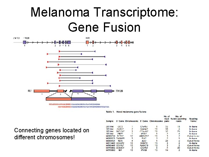 Melanoma Transcriptome: Gene Fusion Connecting genes located on different chromosomes! 