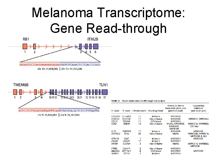 Melanoma Transcriptome: Gene Read-through 