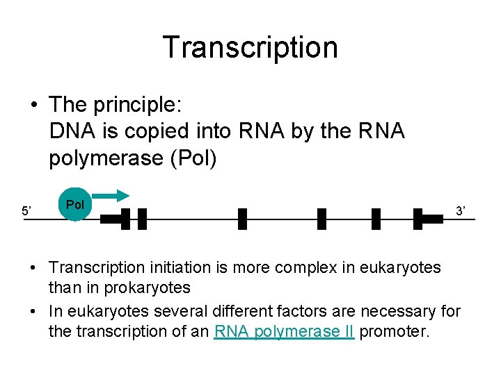 Transcription • The principle: DNA is copied into RNA by the RNA polymerase (Pol)