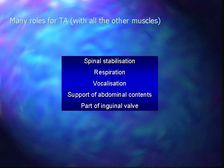 Many roles for TA (with all the other muscles) Spinal stabilisation Respiration Vocalisation Support