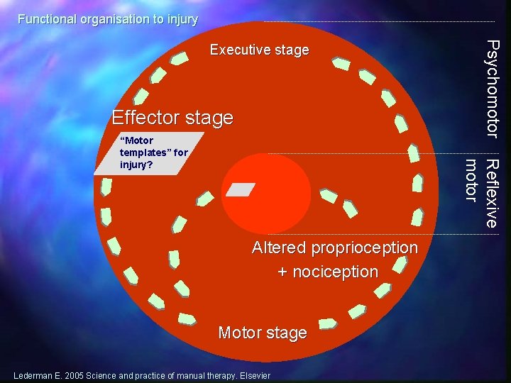 Functional organisation to injury Effector stage Reflexive motor “Motor templates” for injury? Psychomotor Executive