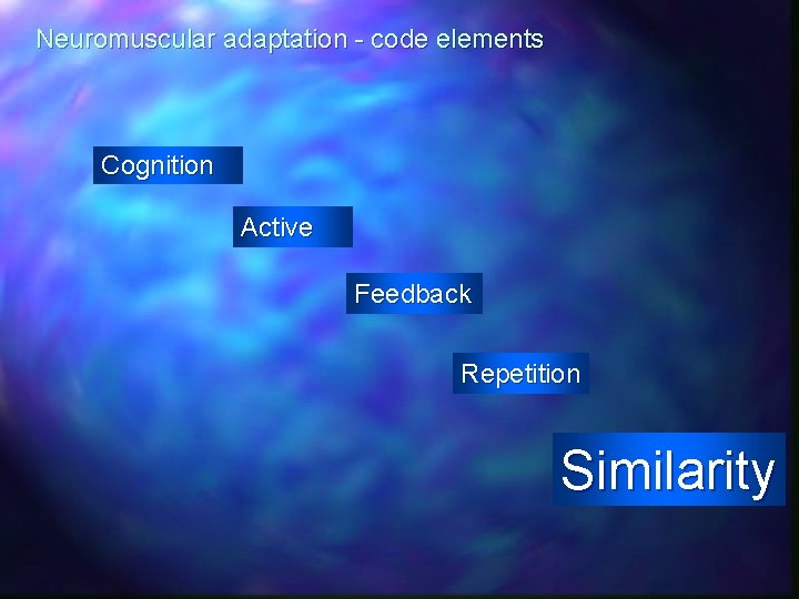 Neuromuscular adaptation - code elements Cognition Active Feedback Repetition Similarity 