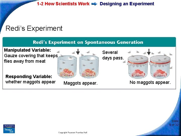 1 -2 How Scientists Work Designing an Experiment Redi’s Experiment Manipulated Variable: Gauze covering