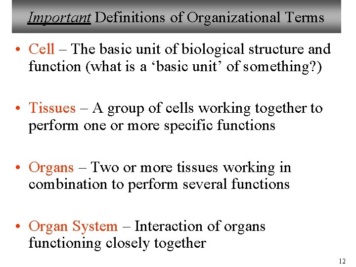 Important Definitions of Organizational Terms • Cell – The basic unit of biological structure