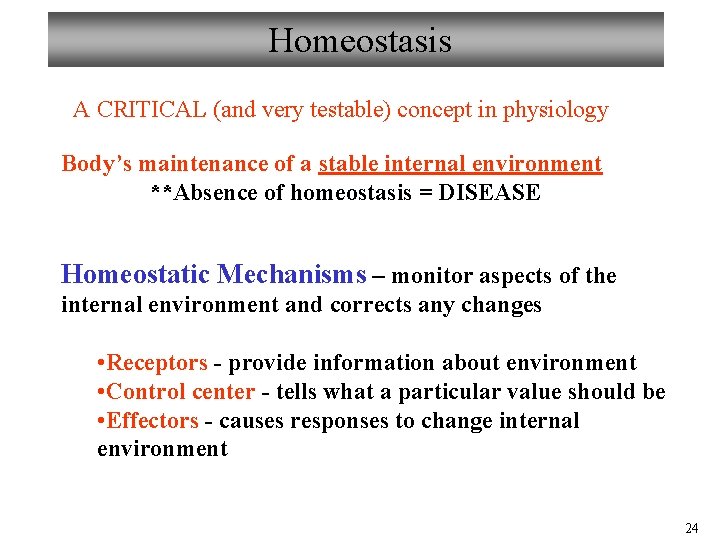 Homeostasis A CRITICAL (and very testable) concept in physiology Body’s maintenance of a stable