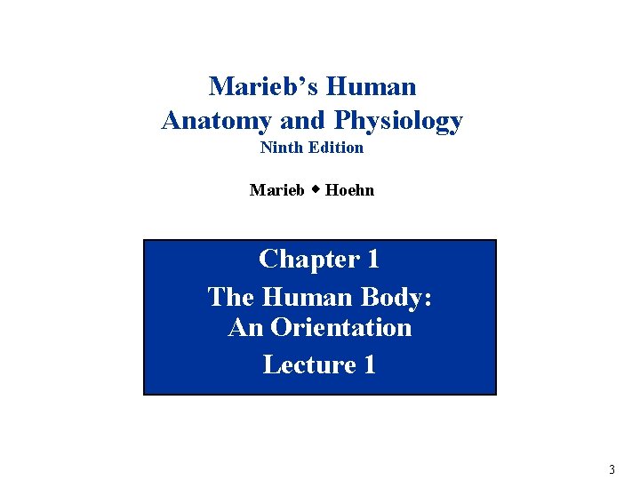 Marieb’s Human Anatomy and Physiology Ninth Edition Marieb w Hoehn Chapter 1 The Human