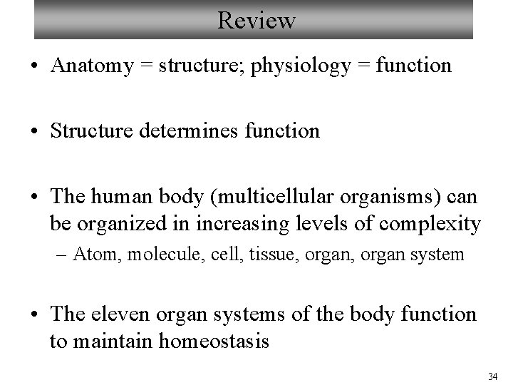 Review • Anatomy = structure; physiology = function • Structure determines function • The