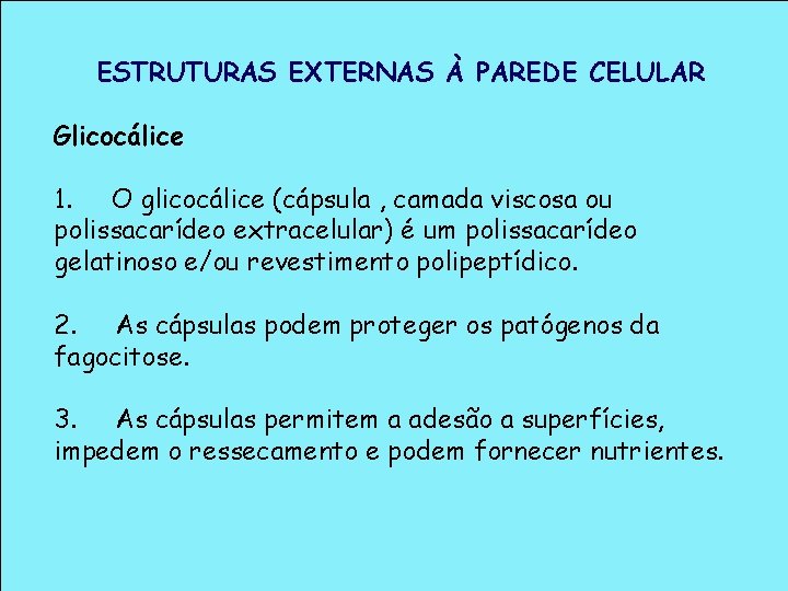 ESTRUTURAS EXTERNAS À PAREDE CELULAR Glicocálice 1. O glicocálice (cápsula , camada viscosa ou