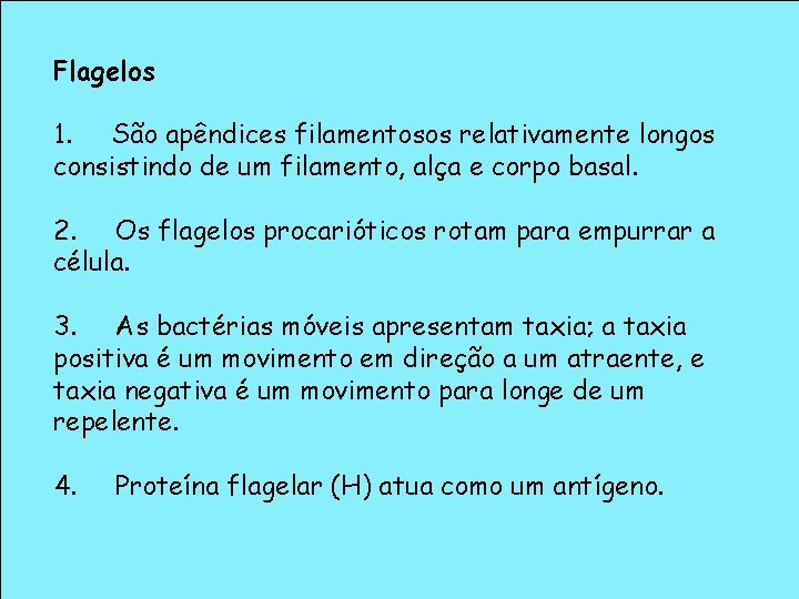 Flagelos 1. São apêndices filamentosos relativamente longos consistindo de um filamento, alça e corpo