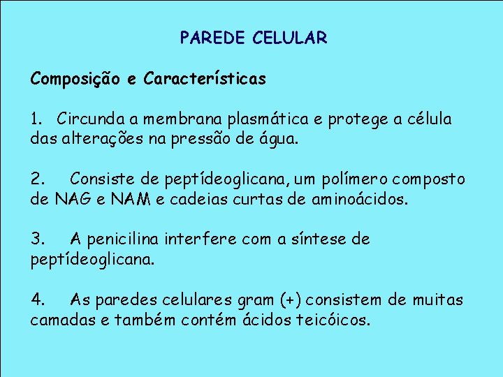PAREDE CELULAR Composição e Características 1. Circunda a membrana plasmática e protege a célula