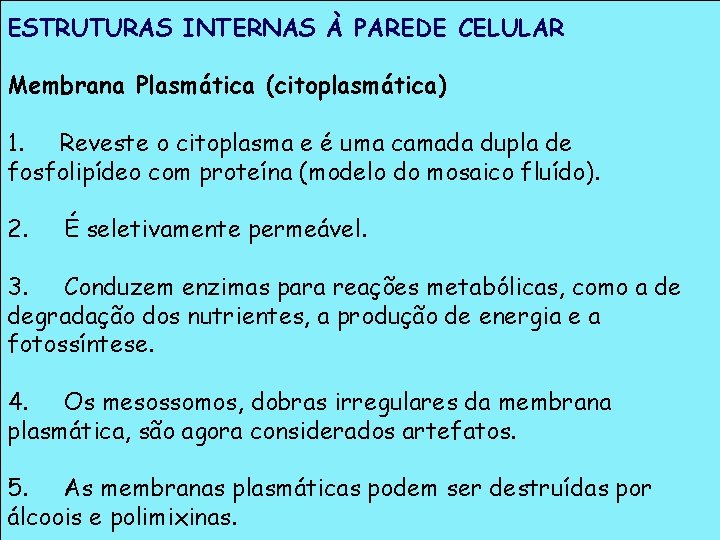 ESTRUTURAS INTERNAS À PAREDE CELULAR Membrana Plasmática (citoplasmática) 1. Reveste o citoplasma e é