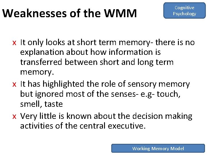 Weaknesses of the WMM Cognitive Psychology x It only looks at short term memory- Weaknesses of the WMM Cognitive Psychology x It only looks at short term memory-