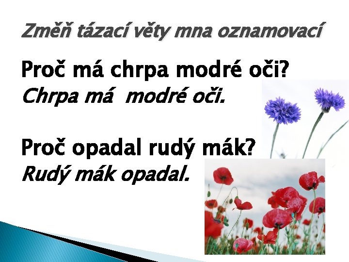 Změň tázací věty mna oznamovací Proč má chrpa modré oči? Chrpa má modré oči.