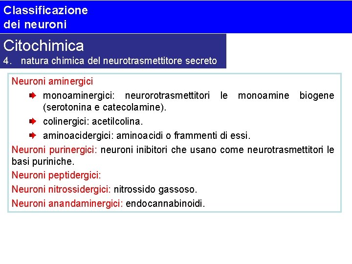 Classificazione dei neuroni Citochimica 4. natura chimica del neurotrasmettitore secreto Neuroni aminergici monoaminergici: neurorotrasmettitori
