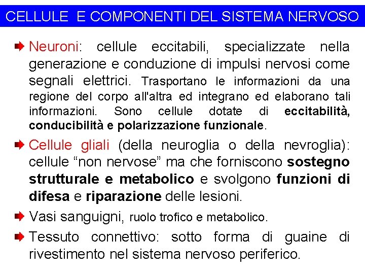 CELLULE E COMPONENTI DEL SISTEMA NERVOSO Neuroni: cellule eccitabili, specializzate nella generazione e conduzione