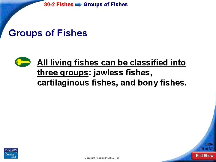 30 -2 Fishes Groups of Fishes All living fishes can be classified into three