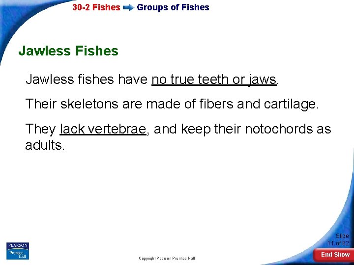 30 -2 Fishes Groups of Fishes Jawless Fishes Jawless fishes have no true teeth