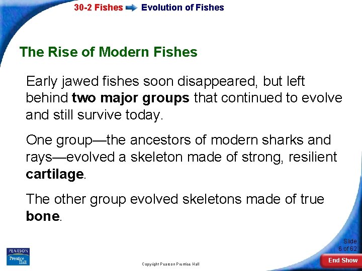 30 -2 Fishes Evolution of Fishes The Rise of Modern Fishes Early jawed fishes