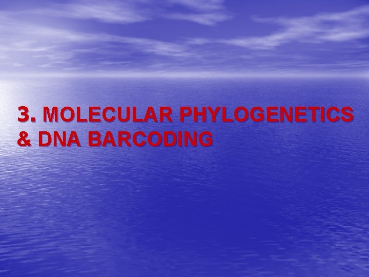 3. MOLECULAR PHYLOGENETICS & DNA BARCODING 