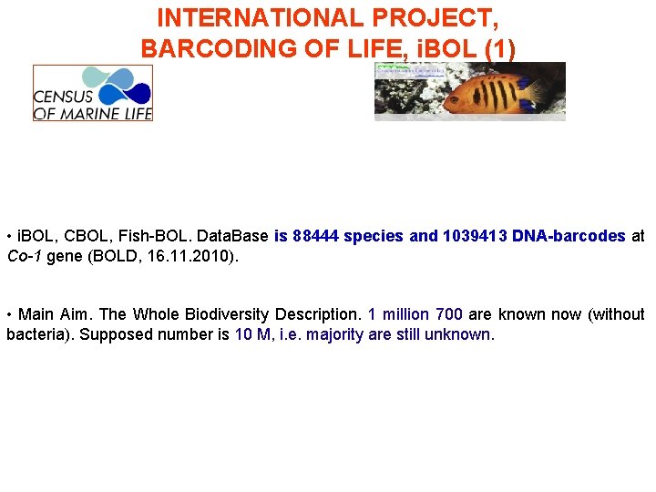 INTERNATIONAL PROJECT, BARCODING OF LIFE, i. BOL (1) • i. BOL, CBOL, Fish-BOL. Data.