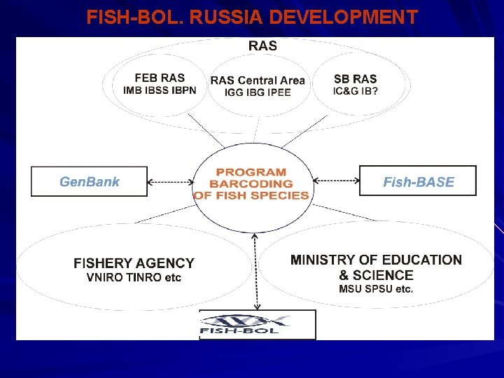 FISH-BOL. RUSSIA DEVELOPMENT 