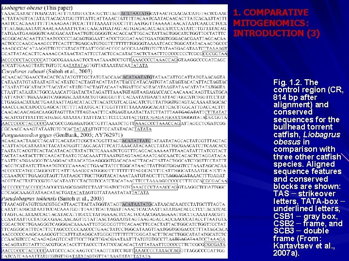 1. COMPARATIVE MITOGENOMICS: INTRODUCTION (3) Fig. 1. 2. The control region (CR, 814 bp