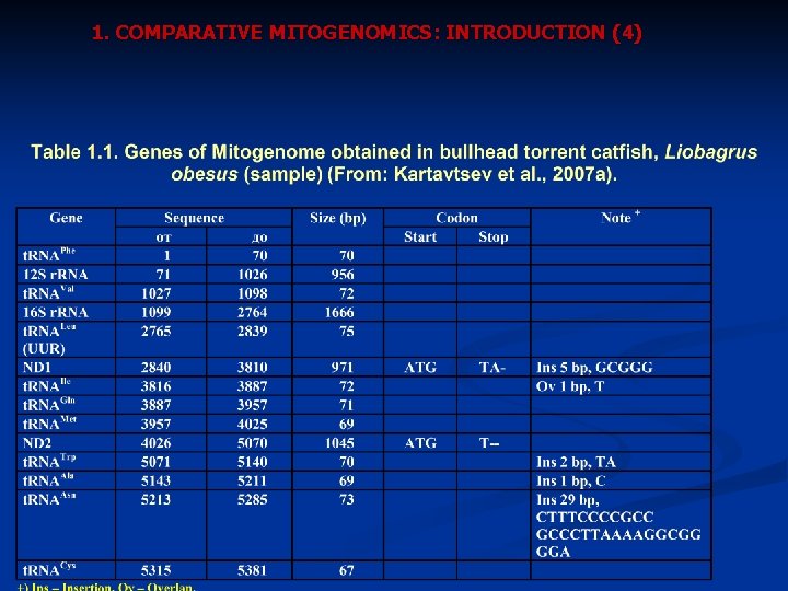 1. COMPARATIVE MITOGENOMICS: INTRODUCTION (4) 