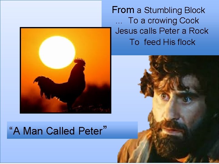 From a Stumbling Block … To a crowing Cock Jesus calls Peter a Rock