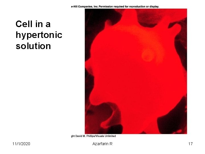 Cell in a hypertonic solution 11/1/2020 Azarfarin R 17 