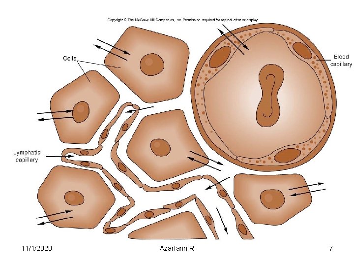 11/1/2020 Azarfarin R 7 
