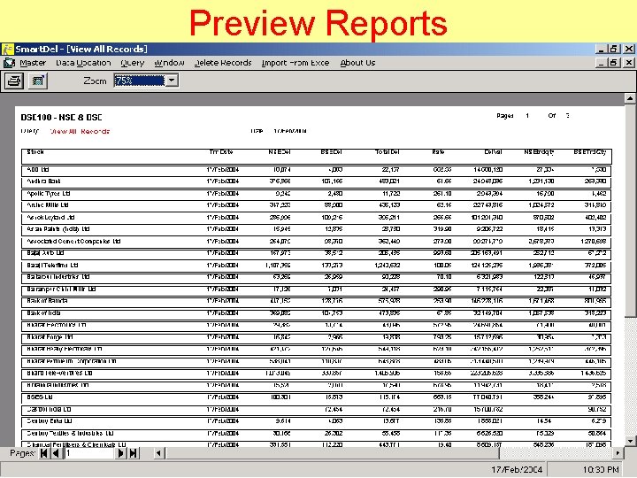 Preview Reports 