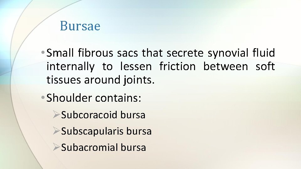 Bursae • Small fibrous sacs that secrete synovial fluid internally to lessen friction between